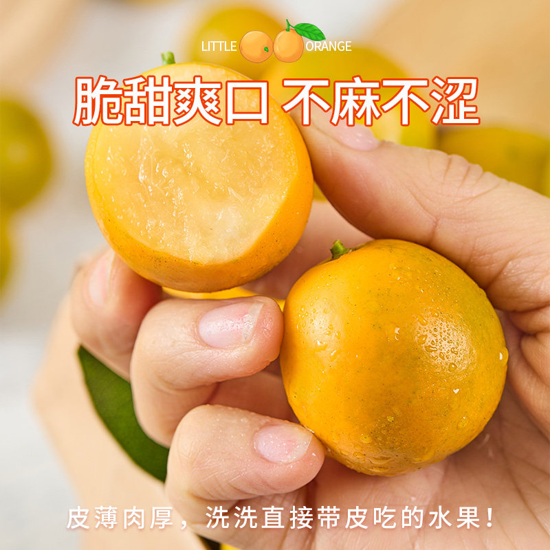 广西融安脆皮金桔鲜果10小金橘子斤新鲜水果应当季蜜金柑整箱包邮