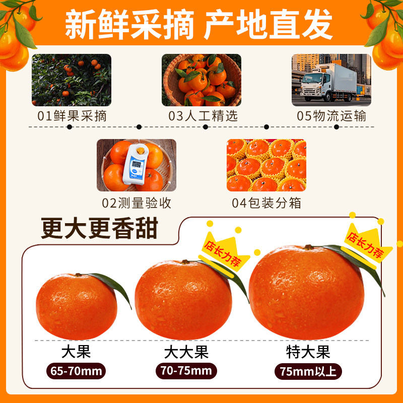 正宗广西武鸣沃柑橘子斤新鲜水果整箱柑橘现摘沙糖蜜橘砂糖10大果,淘宝优惠券,粉丝福利购,淘宝优惠卷