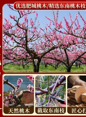 天然实心桃木小葫芦刻字家居玄关葫芦支持刻字门口摆件随身手把件