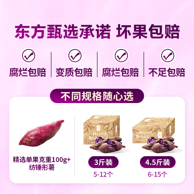 东方甄选紫薯紫罗兰番薯地瓜山芋当季新鲜蔬菜时令生鲜早餐食品