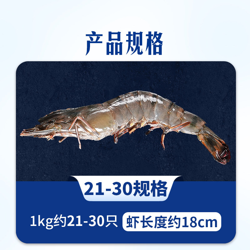东方甄选泰国黑虎虾活冻斑节对虾大虾进口海鲜生鲜烧烤食材年货