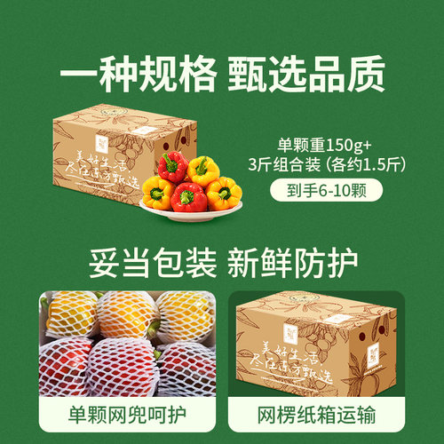 东方甄选彩椒当季新鲜蔬菜时令青菜沙拉凉拌菜农产品家常菜顺丰 - 图3