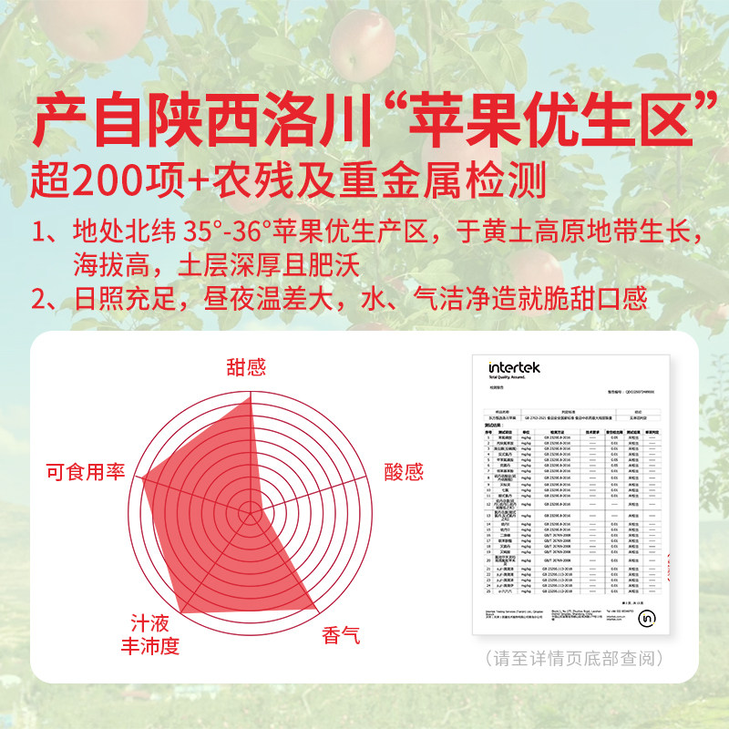 东方甄选洛川苹果水果新鲜当季整箱时令生鲜脆甜多汁过年年货