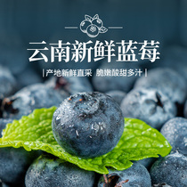 Oriental selection preferred blueberry 4 boxed 125g boxes full and juicy bad fruit bag odds