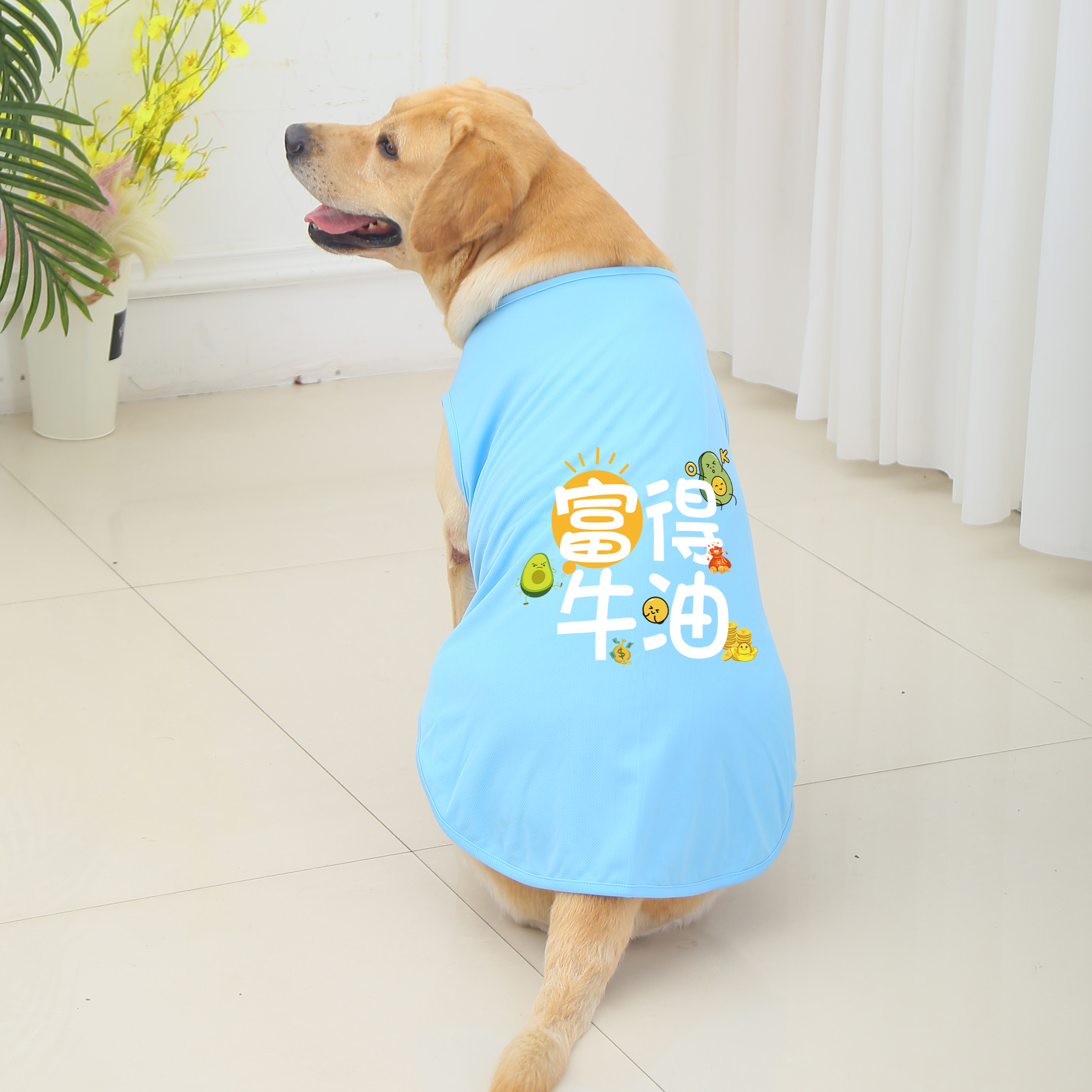 狗狗衣服防掉毛夏季薄款透气网眼大中小型犬金毛拉布拉多柴犬防晒 - 图0