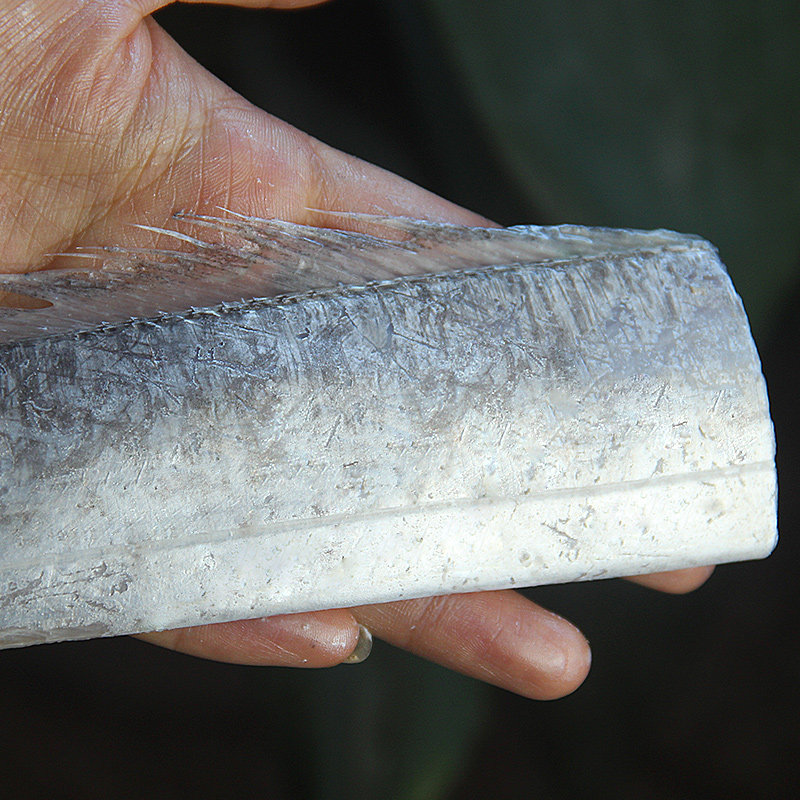 新鲜大带鱼段5斤渤海小眼睛带鱼冷冻东海特级大刀鱼山东整箱,淘宝优惠券,粉丝福利购,淘宝优惠卷