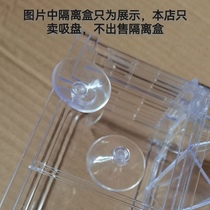 Suction cup acrylic isolation case knob suction cup Turtle table sucker fish tank aqua fish fry hatching breeding box acrylic