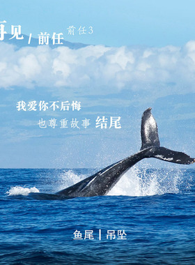 前任3林佳同款海豚鱼尾吊坠 S925纯银项链锁骨链气质饰品礼物女