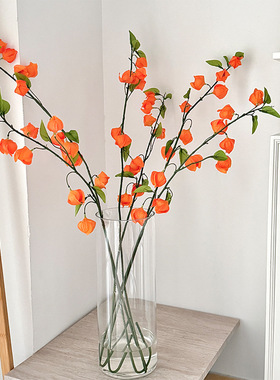 灯笼果仿真花酸浆果假花摆件家居客厅餐桌花婚庆场景布置拍摄道具