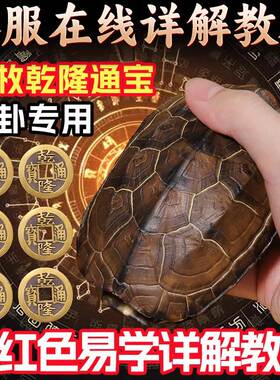 天然乌龟壳文玩六爻摇卦工具真品龟甲乾隆铜钱六十四挂卜用品摆件