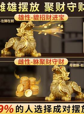 招财铜貔貅摆件公母一对纯黄铜聚财旺财金钱皮丘家居客厅店铺开业