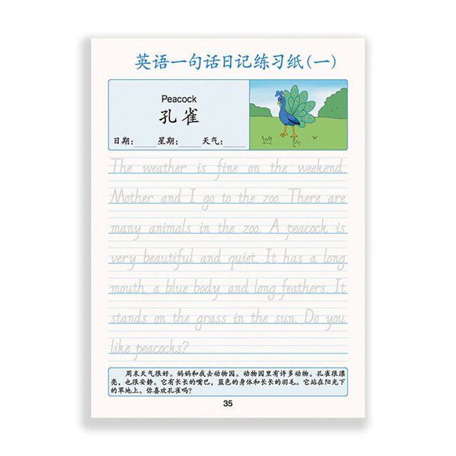 English one sentence diary practice sheet for primary school students in English