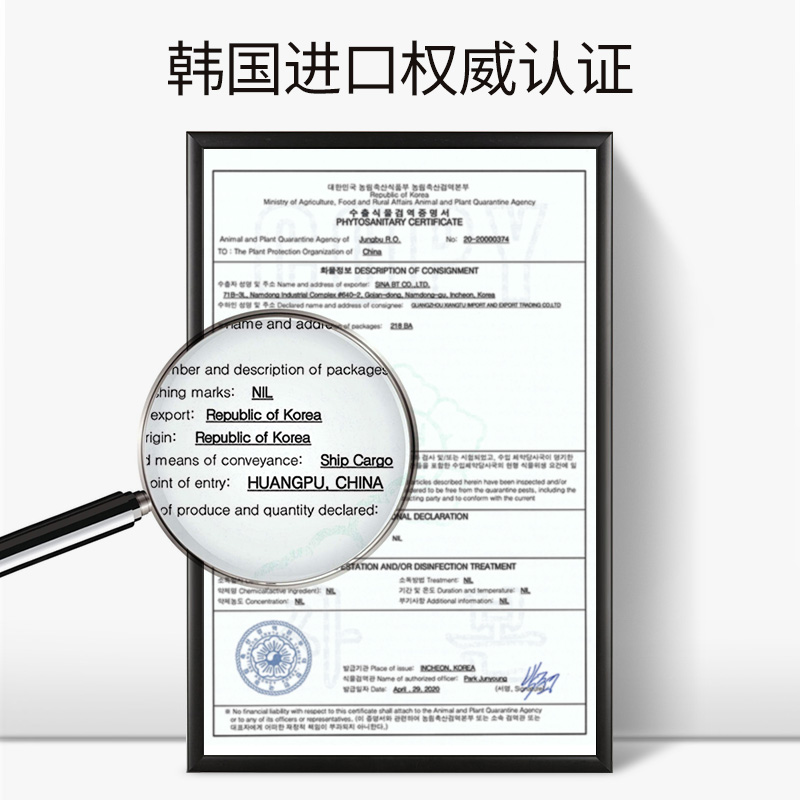 奶油肌沁透粉底液滋潤防水遮瑕自然媽生皮防汗粉底液BB5_pskd旗艦店_美容護膚/美體/精油