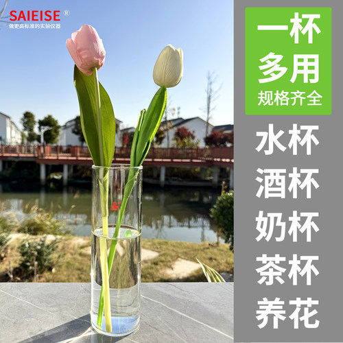SAIEISE 玻璃杯透明平口平底家用栽培植物花卉多肉水养花瓶高硼硅 - 图1