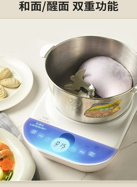 和面机小型家用揉面机全自动新款