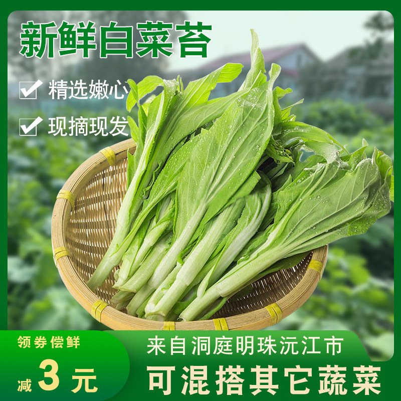 湖南洞庭湖白菜苔新鲜打霜青菜霜冻菜心自种本地苔子菜助农蔬菜