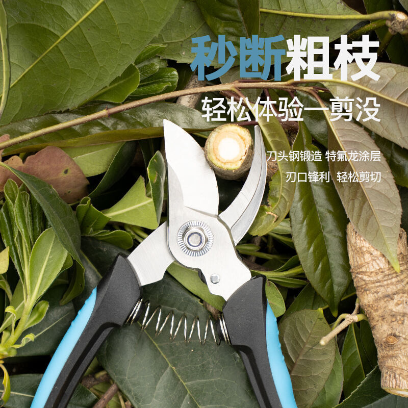 KCS-1050强力园林工具园艺修枝剪家用修花修剪树枝花卉剪刀-图1