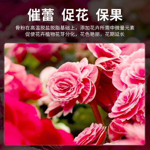 脱脂骨粉园艺花肥料磷钾钙肥开花肥缓释养花有机花肥花卉盆栽通用 - 图3