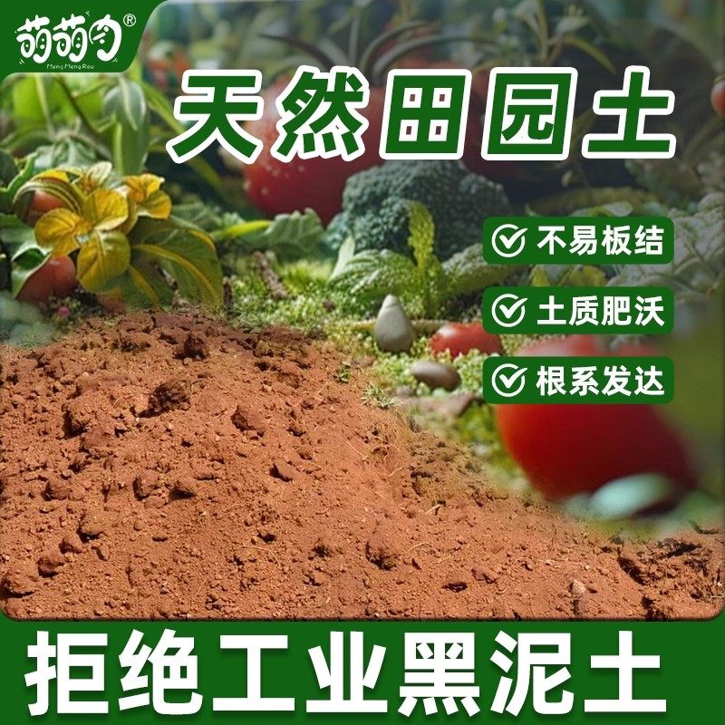 优质田园土庭院种菜土种果树黄土蔬菜种植土花土通用土壤泥土,淘宝优惠券,粉丝福利购,淘宝优惠卷
