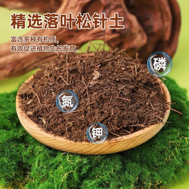 天然松针腐殖土通用型种菜养花腐熟松针兰花专用土腐叶土营养土,淘宝优惠券,粉丝福利购,淘宝优惠卷