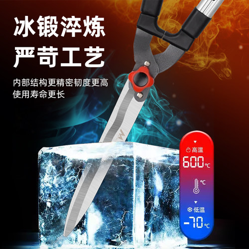 园艺修剪树枝剪刀园林修枝剪花艺园修花草坪绿化专用绿篱剪粗枝大 - 图1