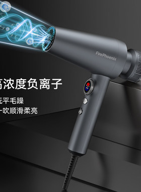火之凤M1吹风机理发店专用发型师发廊电吹风专业大风速干高速风筒