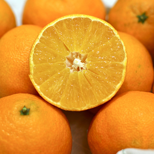 四川眉山 爱媛果冻橙 Q弹顺滑 细嫩化渣 新鲜水果 东来副食店 - 图1