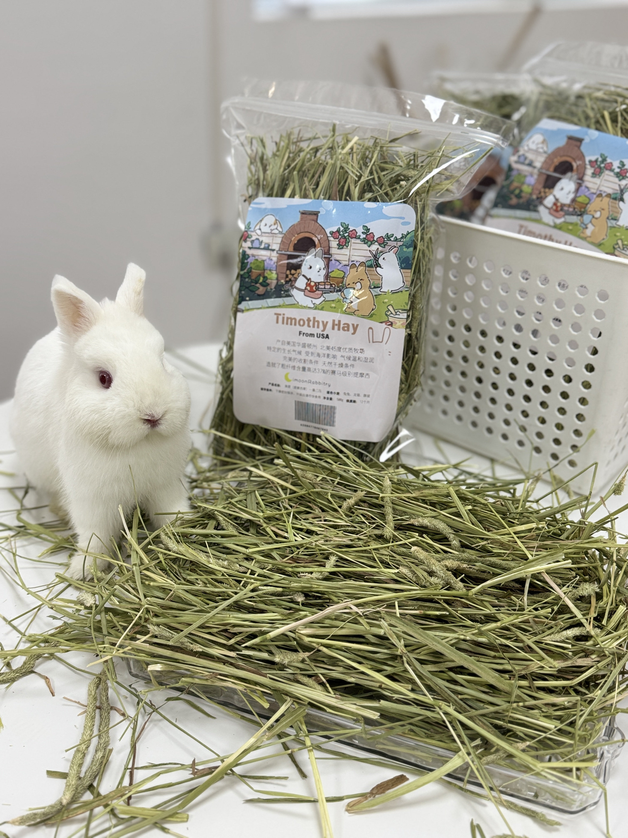 进口赛级提摩西|美提一番二压| 高山雪水灌溉| 兔兔豚鼠龙猫主草,淘宝优惠券,粉丝福利购,淘宝优惠卷