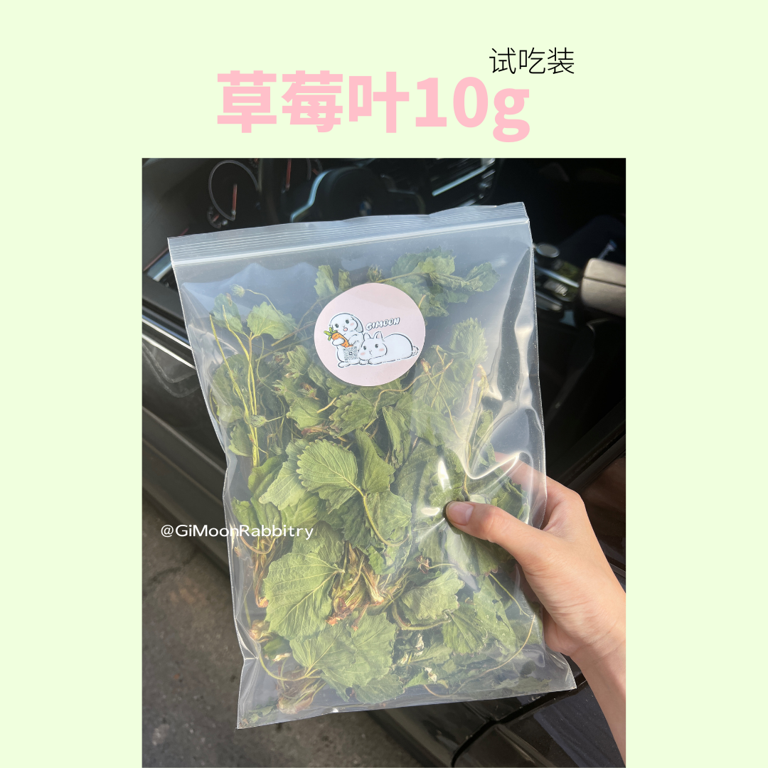 积木本店试吃合集|南提蒲公英胡萝卜樱菊苣燕麦小麦草草莓叶 - 图2