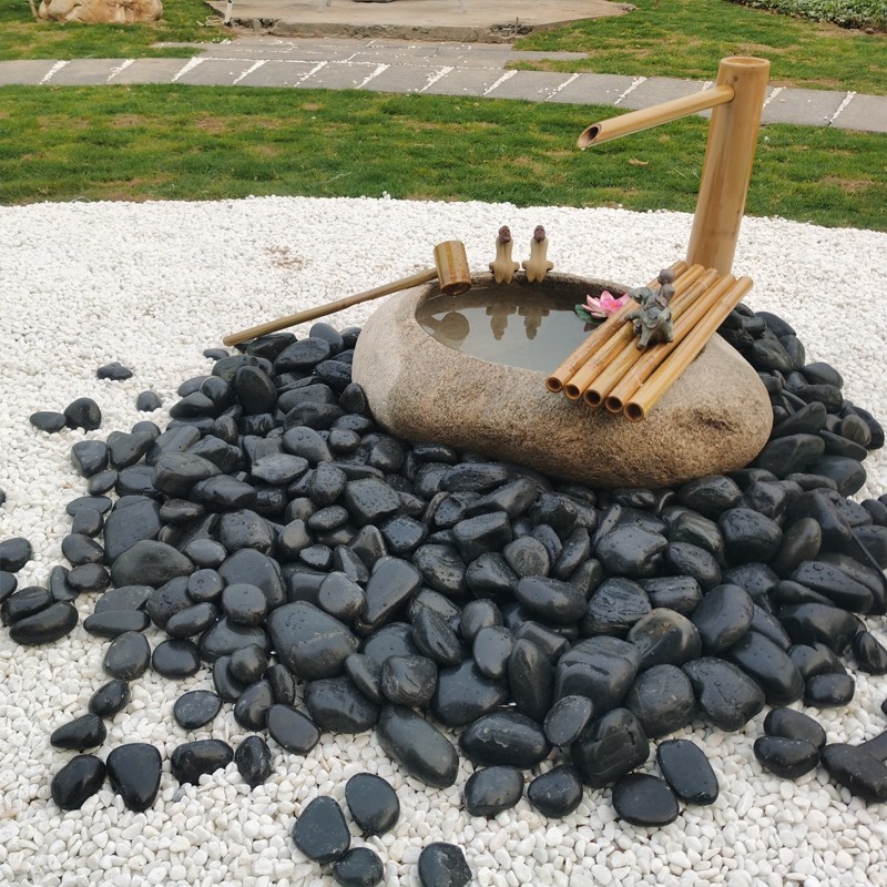 河南天然黑色超大鹅卵石雨花石石头鱼缸装饰画画石高抛光按摩石 - 图1