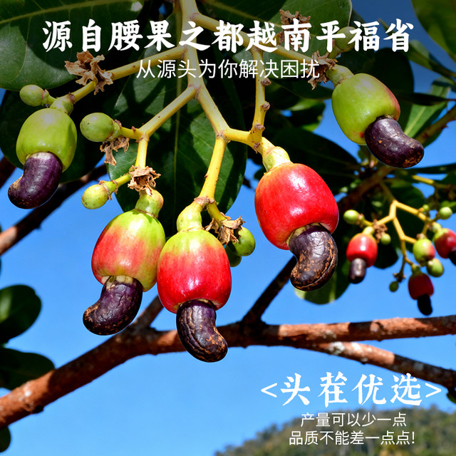Sanguan Liuquan with skin, purple cashews, original salt-baked snacks, snacks, nuts, roasted seeds and nuts, dried fruits and nuts