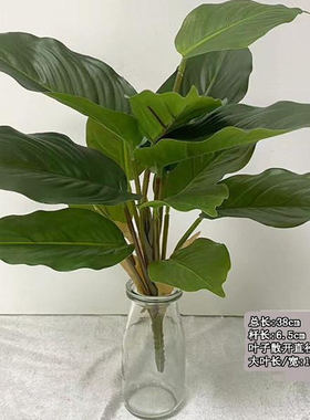 仿真植物叶子把束植物墙小草万年青蕨草室内造景绿植假树橱窗装饰