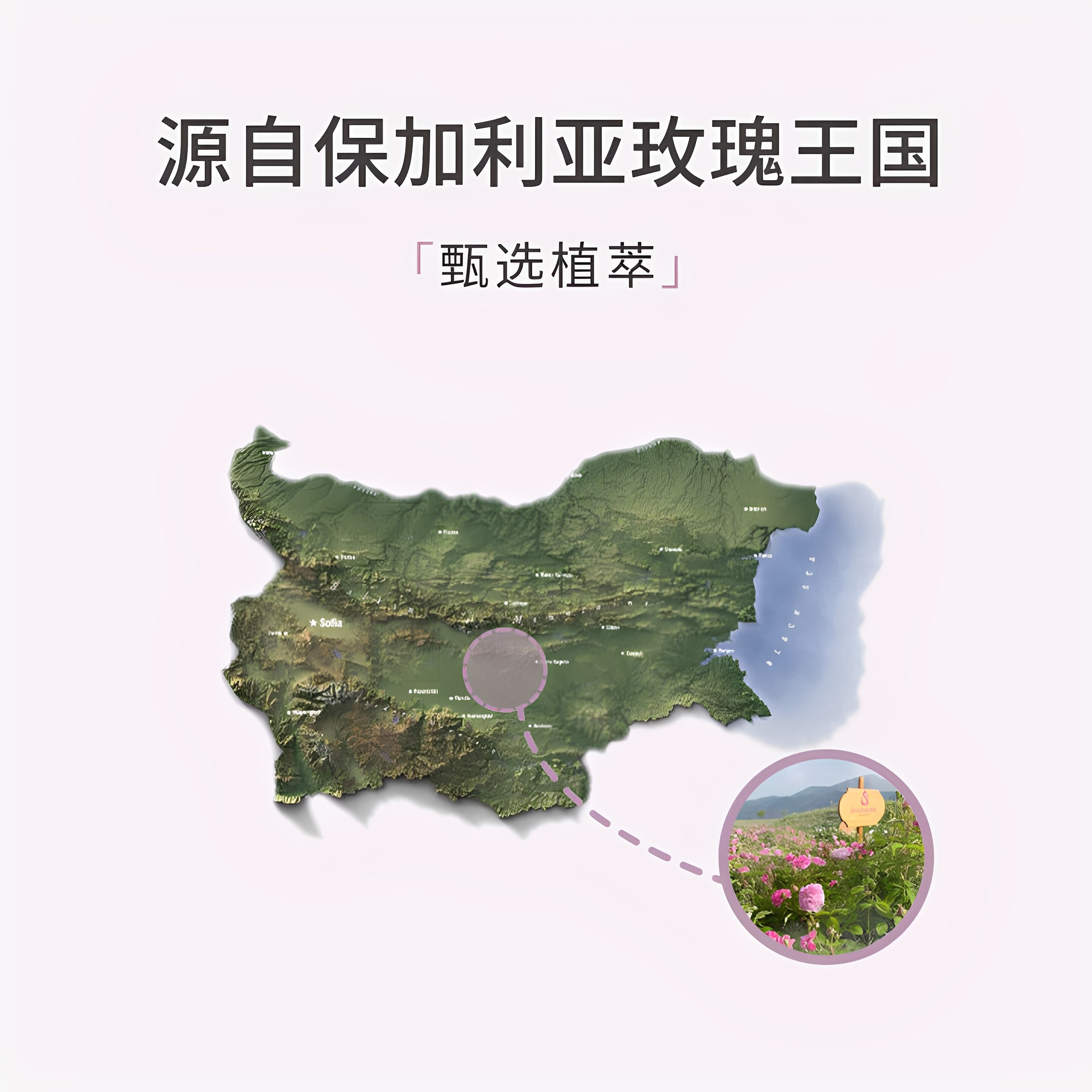 艾十二保加利亚玫瑰纯露湿敷水天然大瓶精华水玫瑰花水官网正品,淘宝优惠券,粉丝福利购,淘宝优惠卷