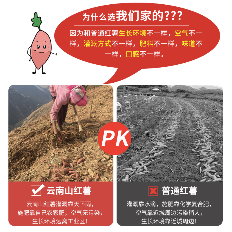 云南红薯新鲜高原黄金蜜薯烤地瓜专用红皮黄心板栗番薯蜜薯中果9