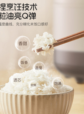 老式电饭煲/一键快煮/陶瓷油内胆