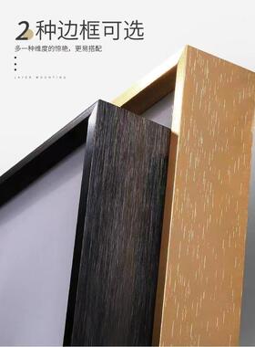 NBA大虫罗德曼客厅背景墙装饰画篮球球星横幅卧室床头晶瓷画壁画