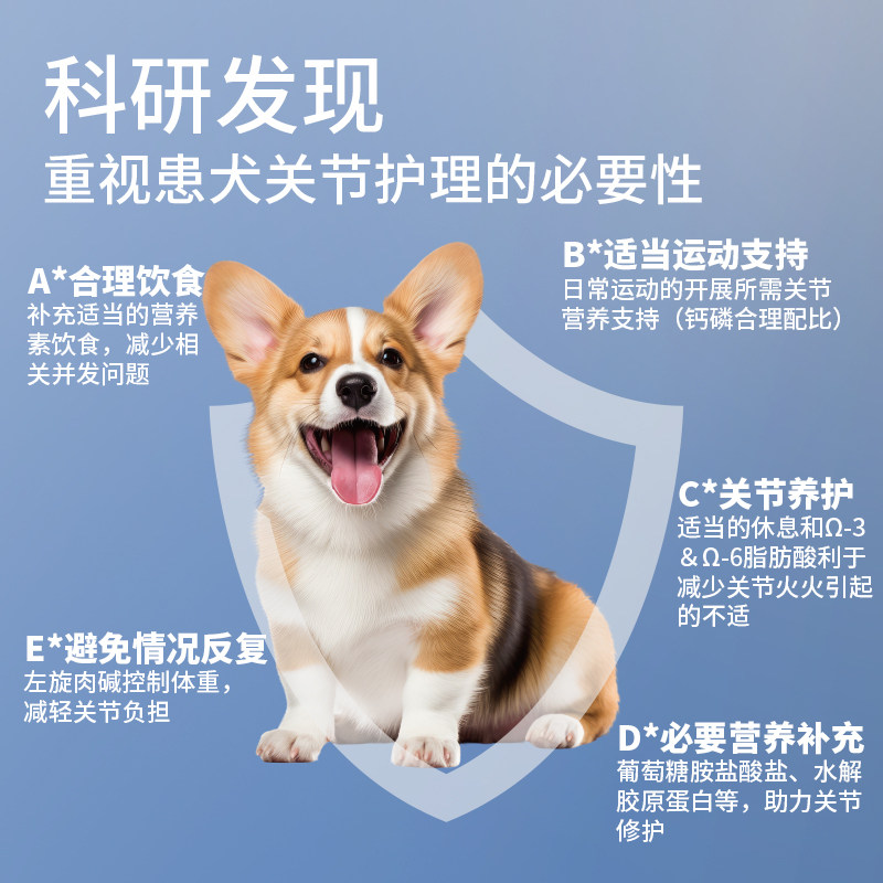 曼赤肯处方罐头犬用术后绝育康复护理湿粮胃肠关节老年狗营养品,淘宝优惠券,粉丝福利购,淘宝优惠卷