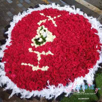 999朵玫瑰花鲜花速递上海同城199/365/520南京杭州成都石家庄求婚 - 图0