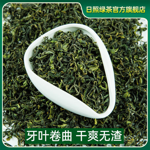 日照绿茶2025年新茶春茶散装袋装口粮茶自己喝板栗浓香官方旗舰店 - 图0