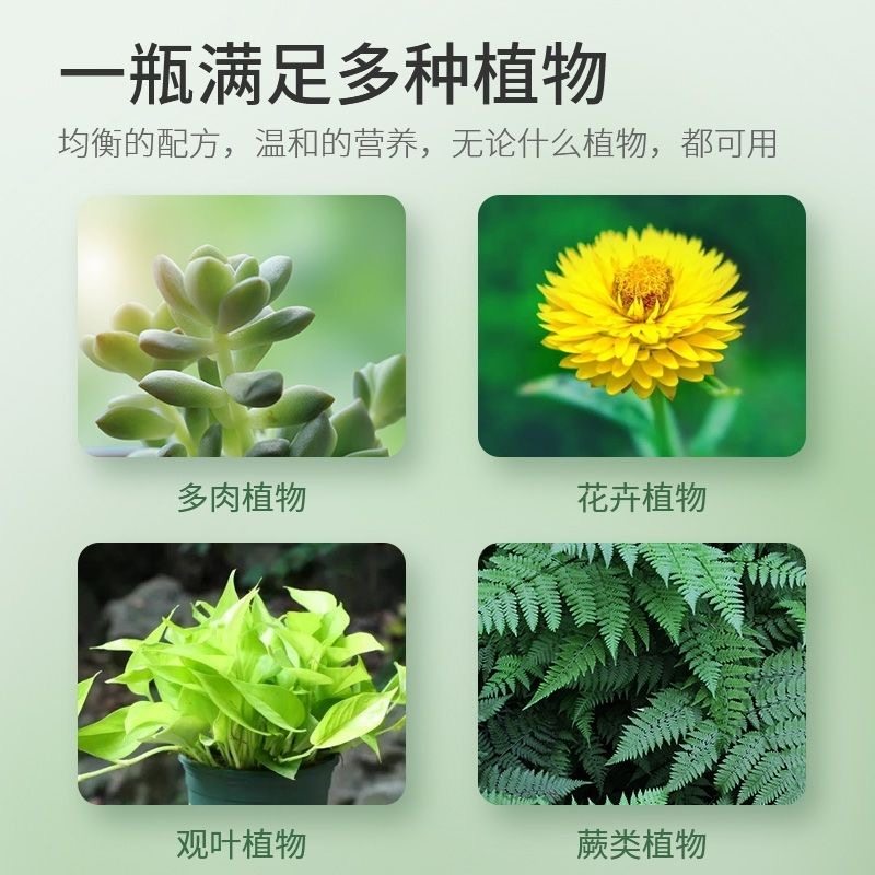 长得快营养液植物通用型解决长得慢不生长园艺绿植花卉促进生长肥,淘宝优惠券,粉丝福利购,淘宝优惠卷