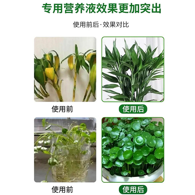 水培植物营养液通用型碗莲睡莲专用观音竹富贵竹郁金香铜钱草绿萝,淘宝优惠券,粉丝福利购,淘宝优惠卷