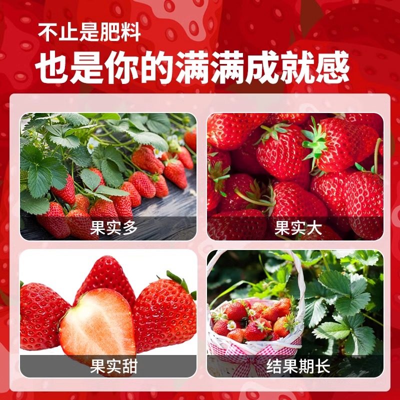 草莓专用肥家用盆栽颗粒缓释肥促果增大增产有机营养水溶复合肥料,淘宝优惠券,粉丝福利购,淘宝优惠卷