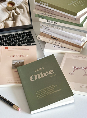 北欧简约仿真书杂志摆件