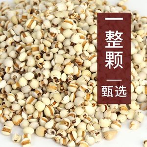 乐乐妈旗舰店鹤来香小薏米500g薏苡仁五谷杂粮可搭红豆粗粮