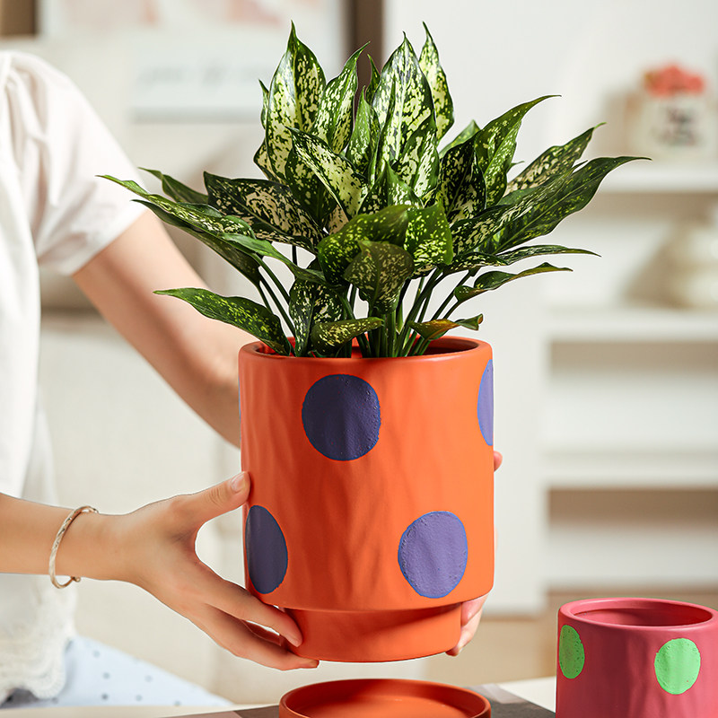 多巴胺陶瓷花盆创意大口径波点兰花多肉盆栽清新桌面绿植陶土室外,淘宝优惠券,粉丝福利购,淘宝优惠卷