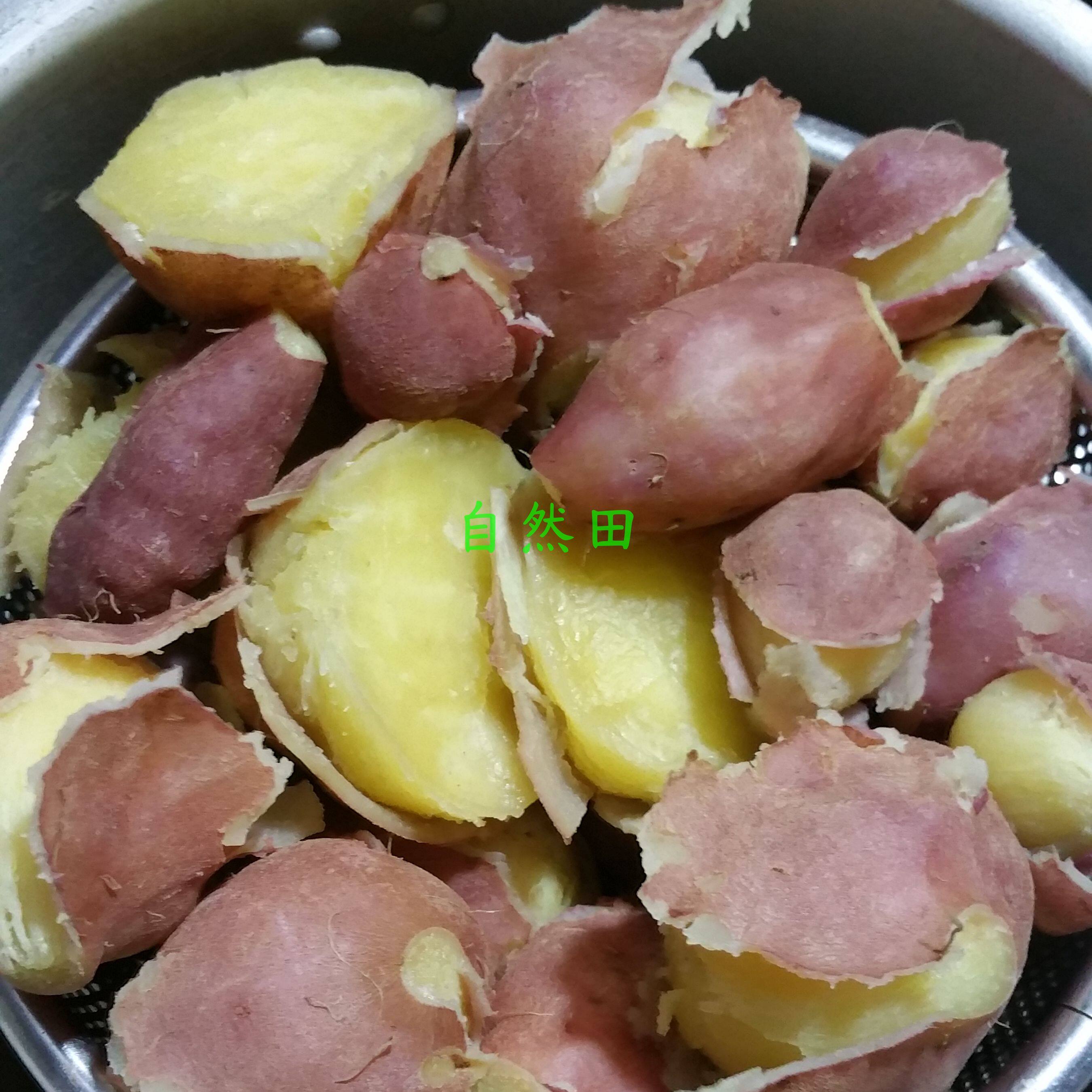 四川本地圆饼饼红苕传统老品种红薯生产队时候的老品种地瓜现挖