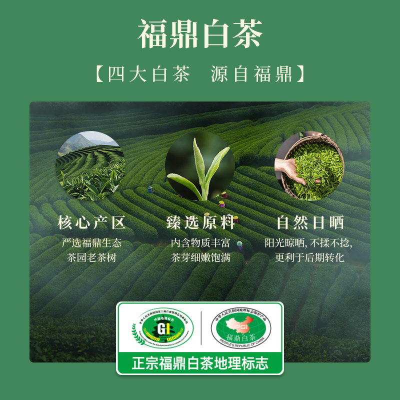 七春茶叶福鼎白茶白毫银针白牡丹贡眉寿眉礼盒装送礼长辈300g-图0