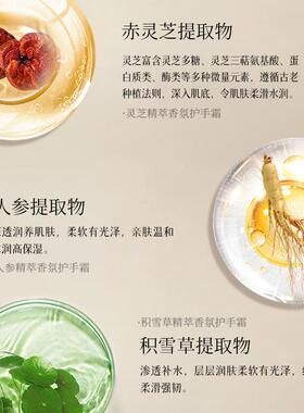 人参灵芝积雪草香氛护手霜