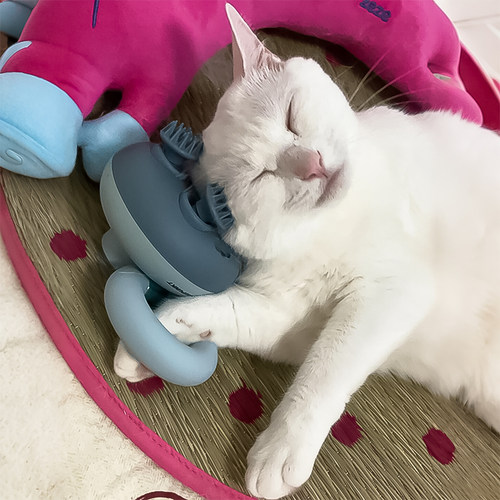 宠物头部按摩仪器电动按摩仪撸猫梳毛神器狗狗痒痒挠灵魂提取器 - 图2