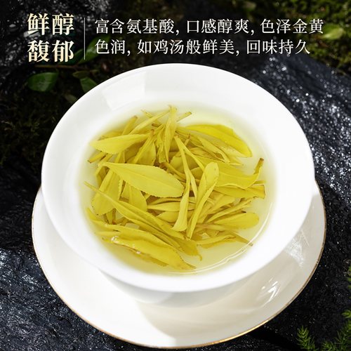 黄金芽2026新茶茶叶自己喝绿茶明前浓香型春茶礼盒装浙江安吉一级 - 图1